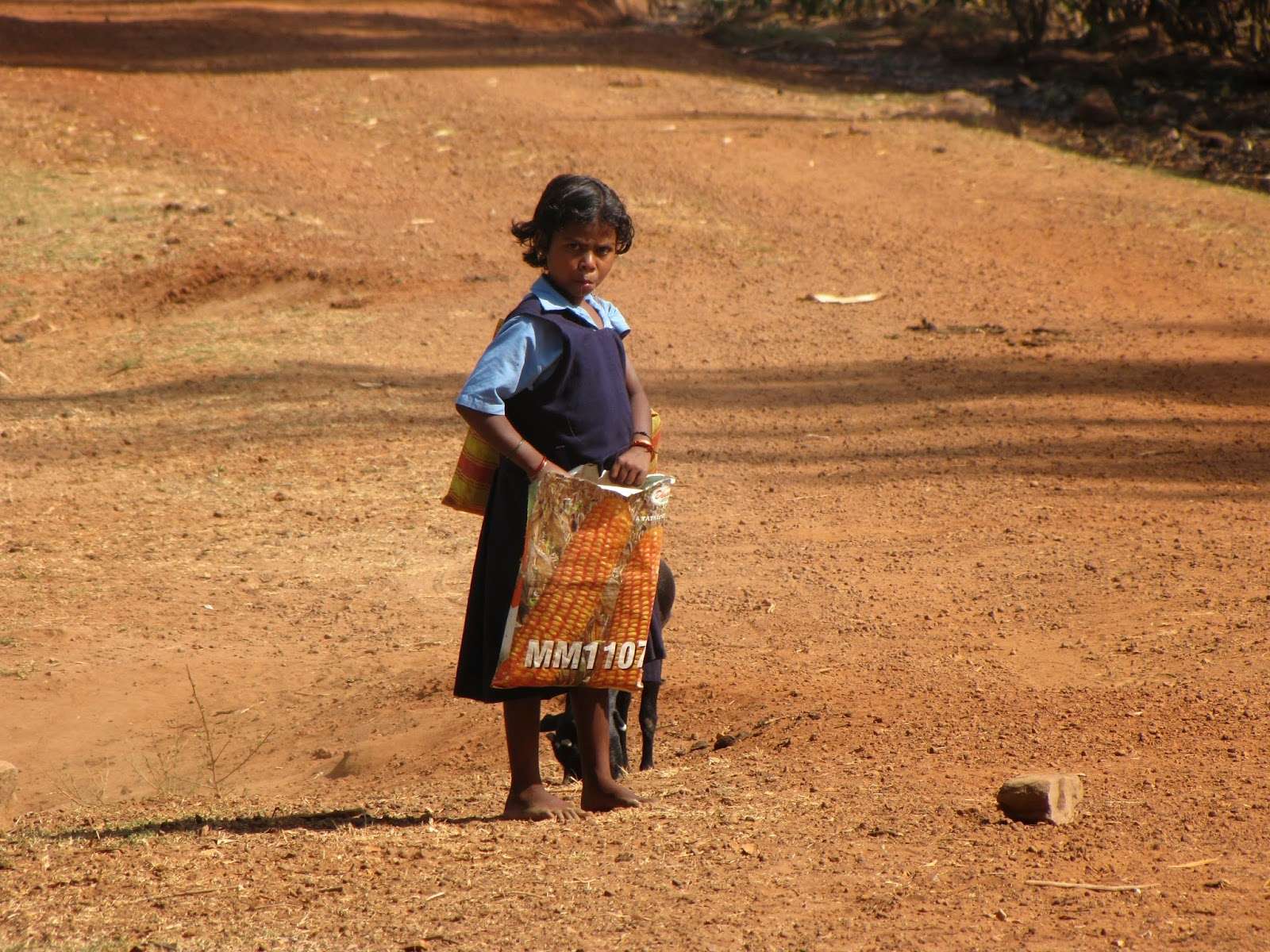 almost-there-but-not-there-yet-rural-india-s-education-crisis-lead